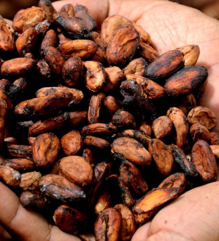 Chocolates y derivados del cacao