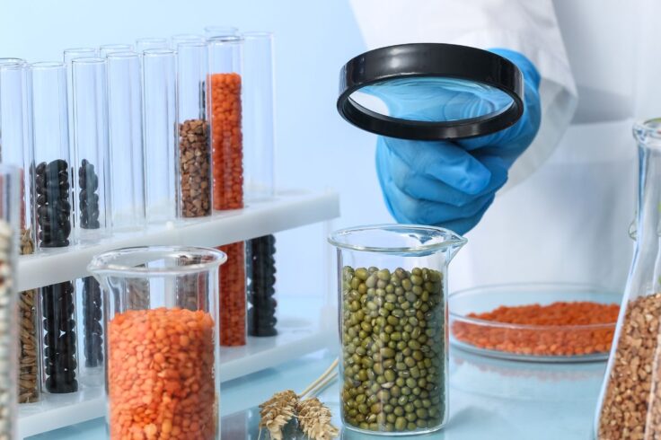 Tendencias alimentarias 2026